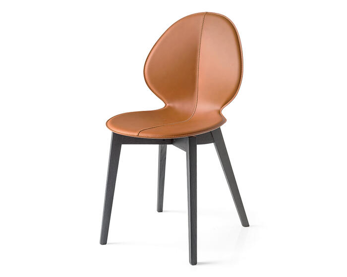 Basil: Chair with wooden base | Calligaris Boca Raton