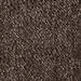 T3S SOIL BROWN
